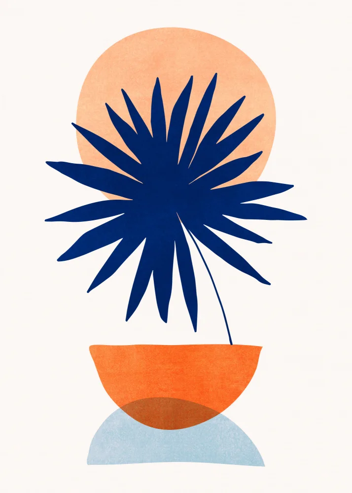 Gallagher, Kristian: Îles au soleil