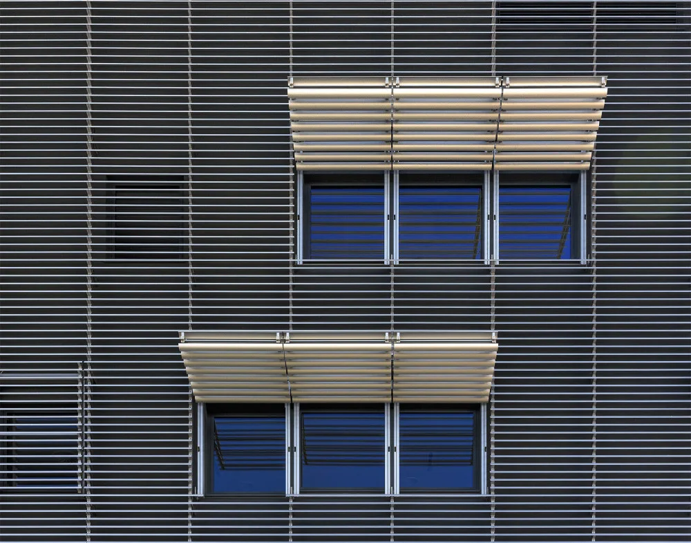 Houte, Van Jef: Blue twins
