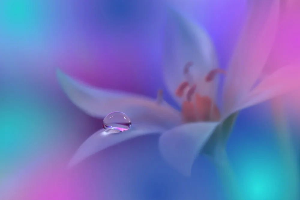 Nan, Juliana: Sound of Colors..