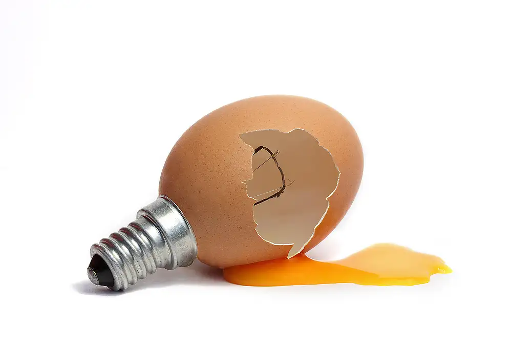 Bizziocchi, Marco: Alternative energy