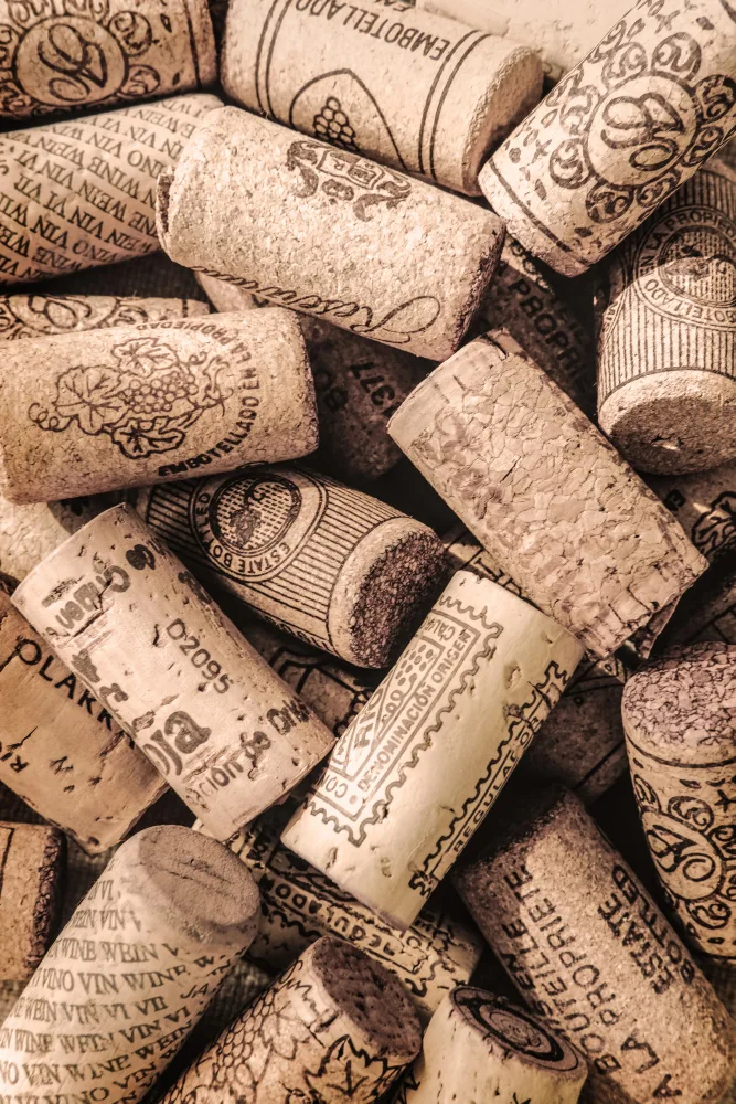 Studio, Pictufy: Wine 001