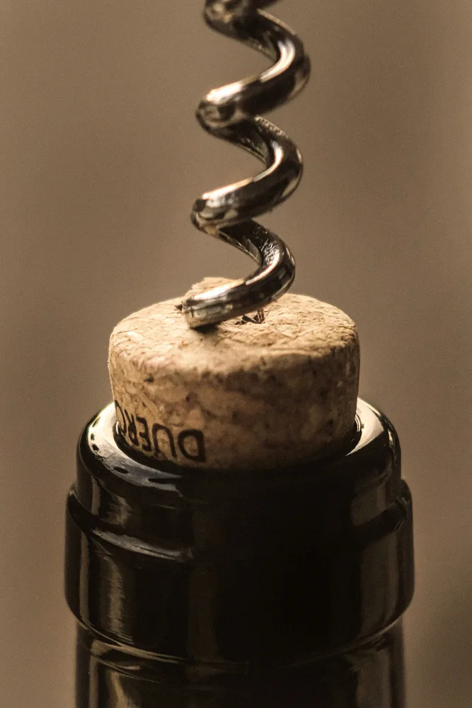 Studio, Pictufy: Wine 002