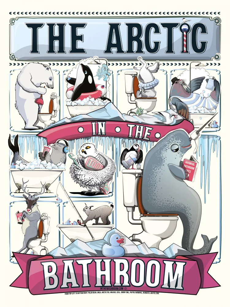 Washroom, The In: The Arctic In the Bathroom