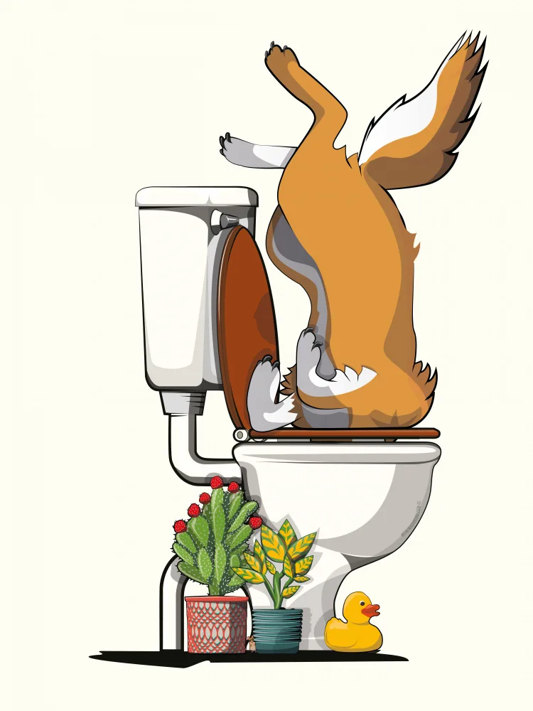 Washroom, The In: Australian Dingo In the Toilet