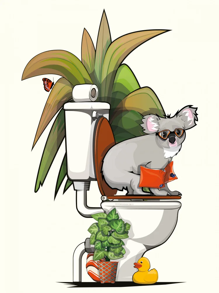 Washroom, The In: Australian Koala On the Toilet