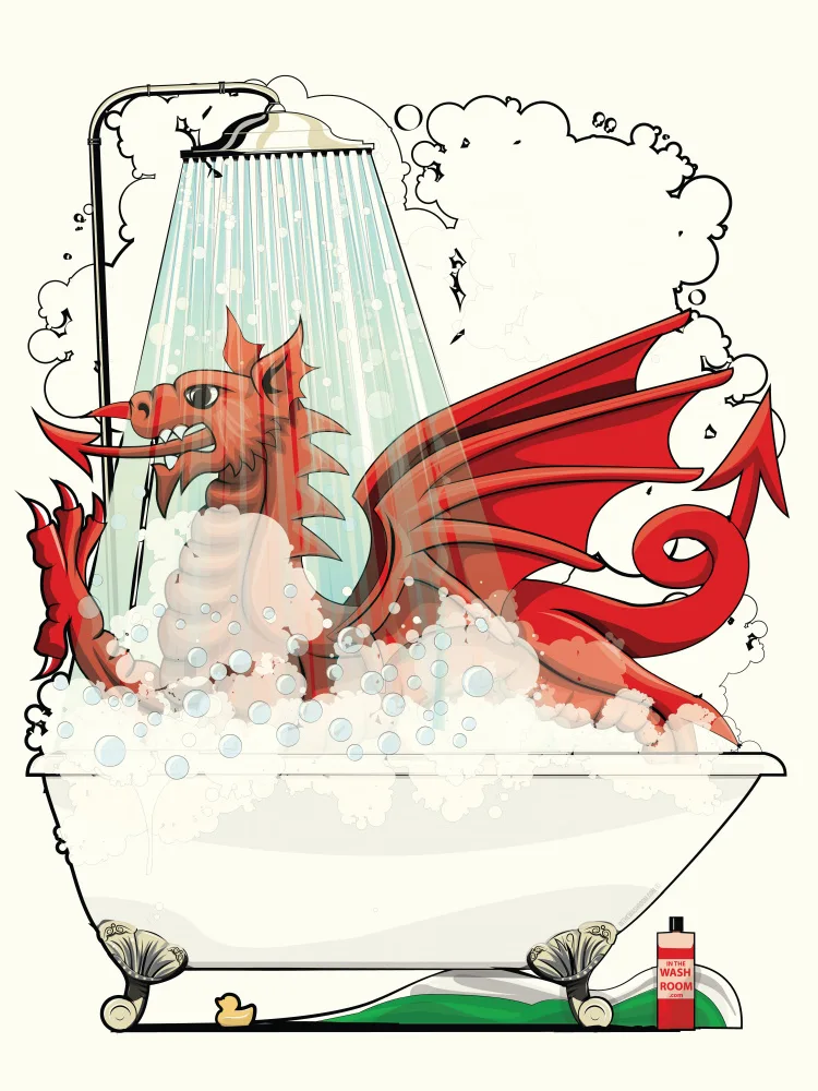 Washroom, The In: Welsh Dragon In the Bath