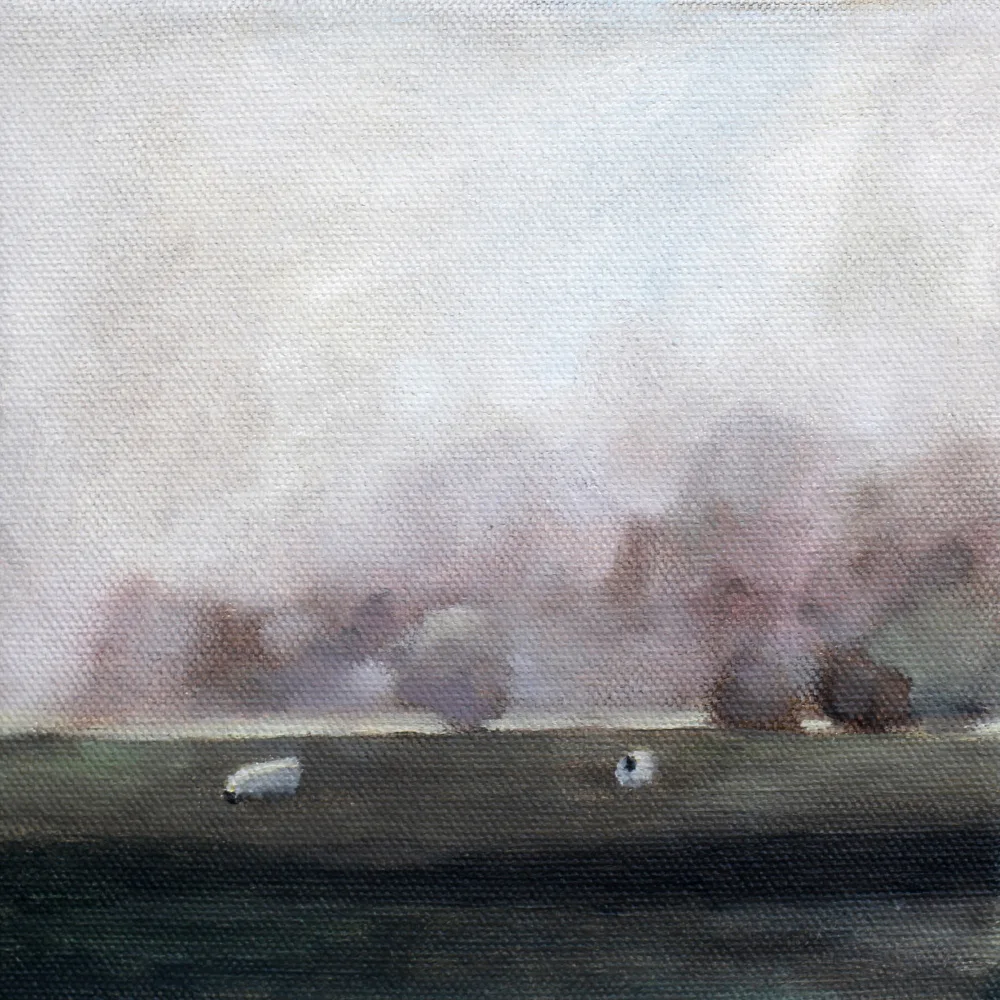 Whitehead, Claire: Sheep 15