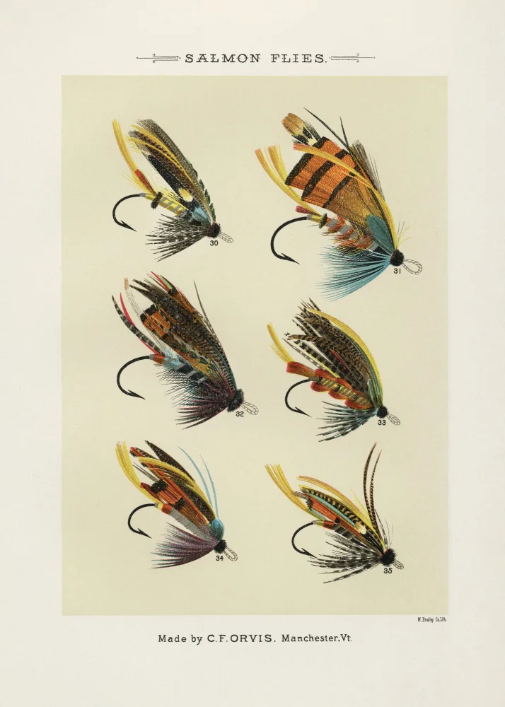 Marbury, Orvis Mary: Salmón Fliee 1892
