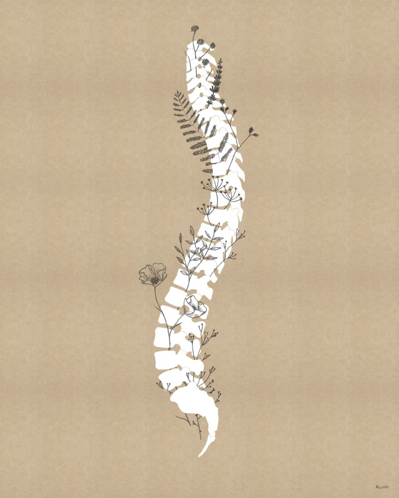 Leon, Amanda: Spine