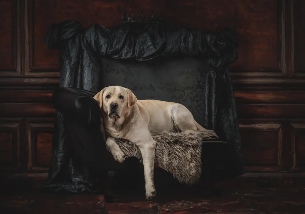 Sattrup-Nielsen, Irene Dorte: "Royalty relaxing"