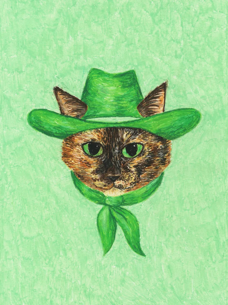 Yeehaw, Can Anyone: Tilly The Cowgirl Tortie Cat