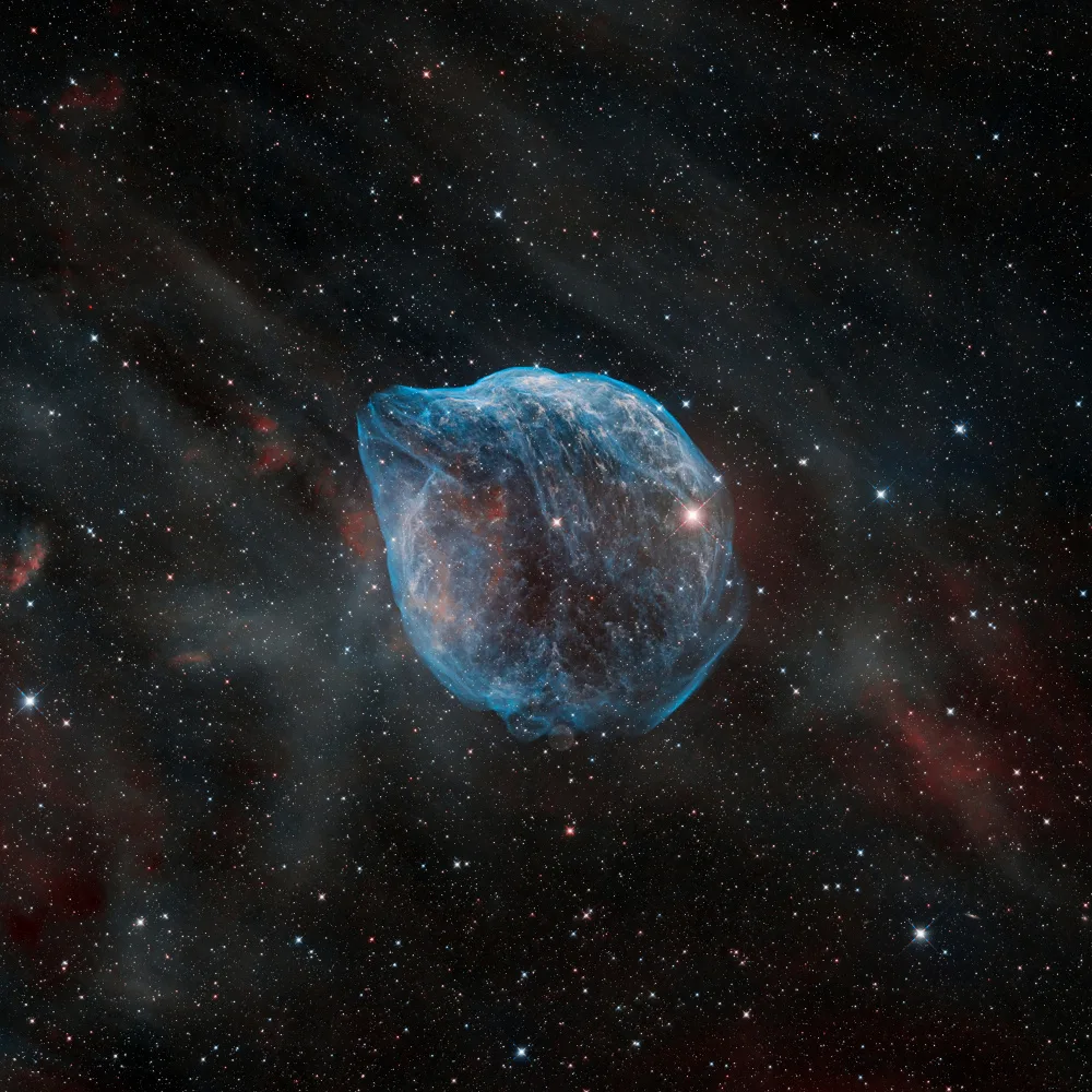Chander, Vikas: The Dolphin head Nebula