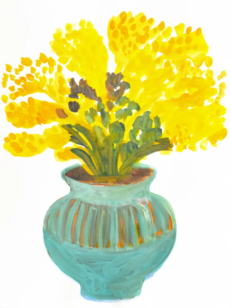 Fernandez, Iria: Mimose