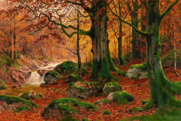 Moras, Walter: Autumn forest