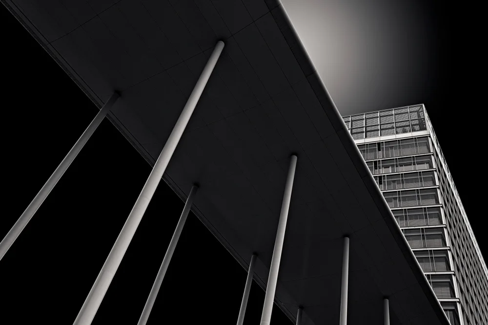 Weber, Roland: The European Parliament