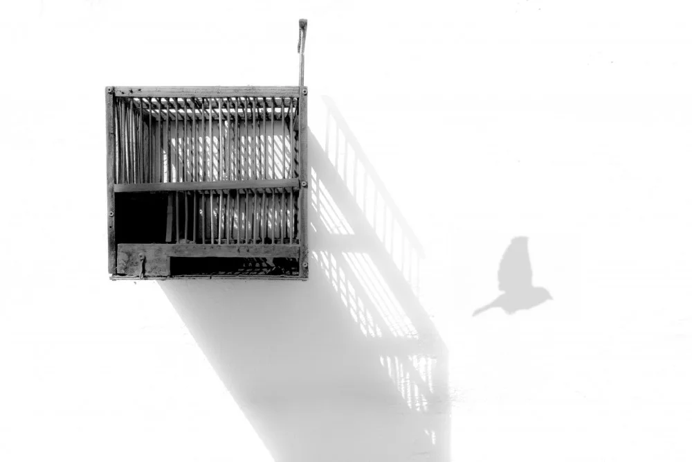 Lopez, Jose Francisco: Shadows of freedom