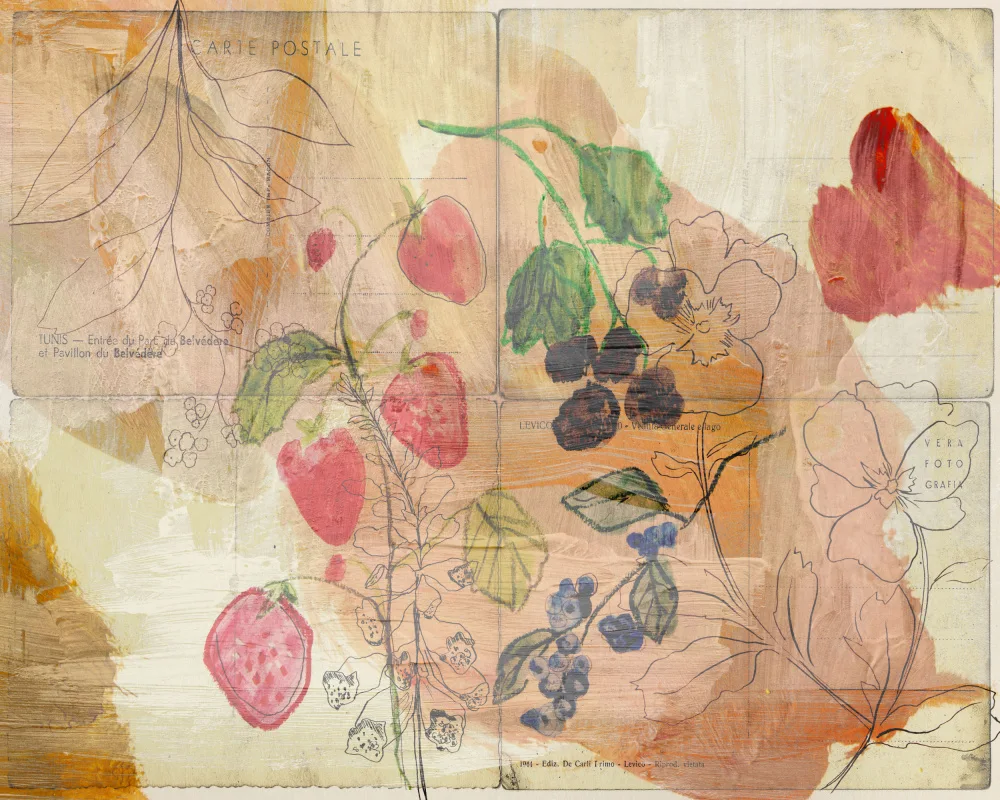 Bardot, Gemma: Fruit Postcards