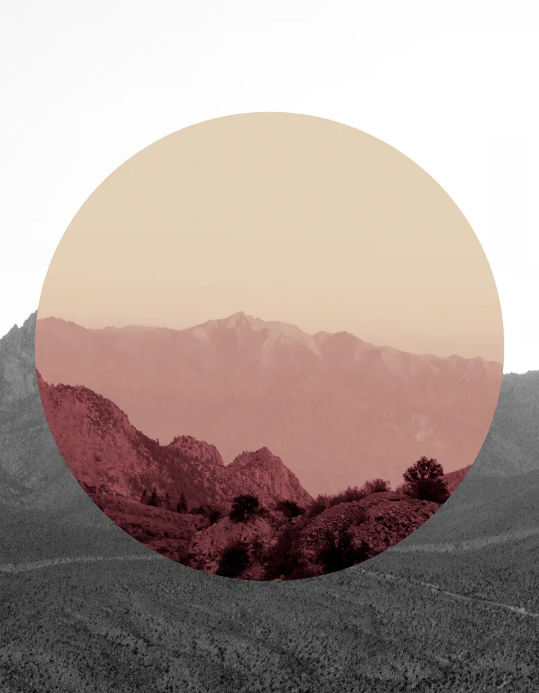 Bardot, Gemma: Formas en la naturaleza IV