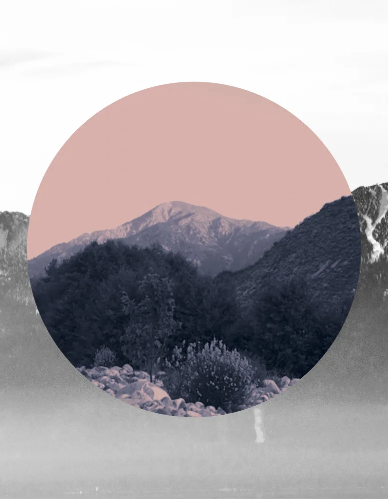 Bardot, Gemma: Shapes In Nature II