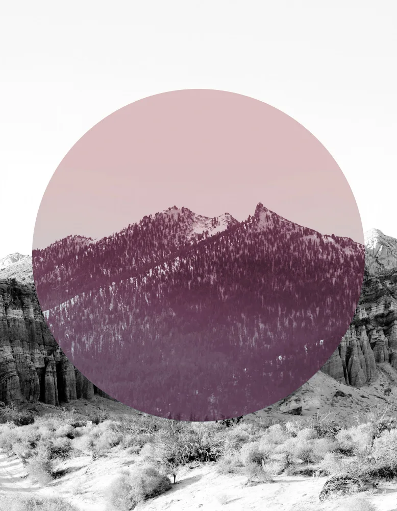 Bardot, Gemma: Shapes In Nature I