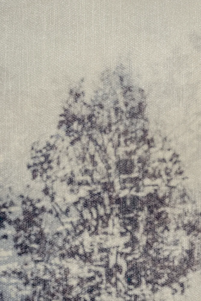 Imaginative: Misty tree