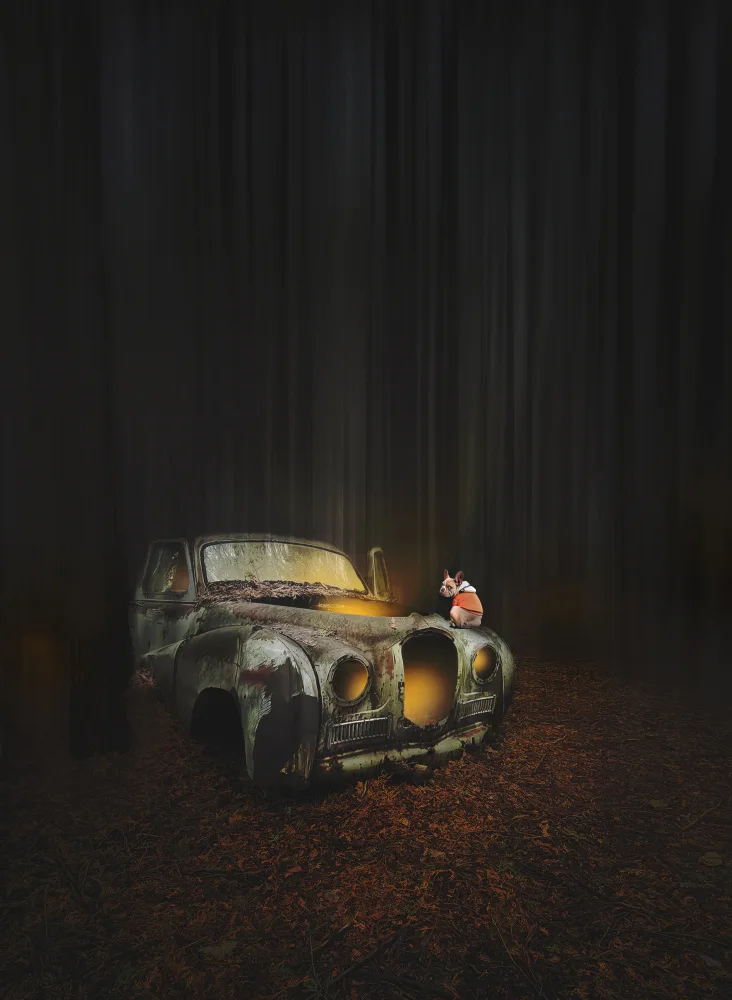 Deng, Larry: Junk yard