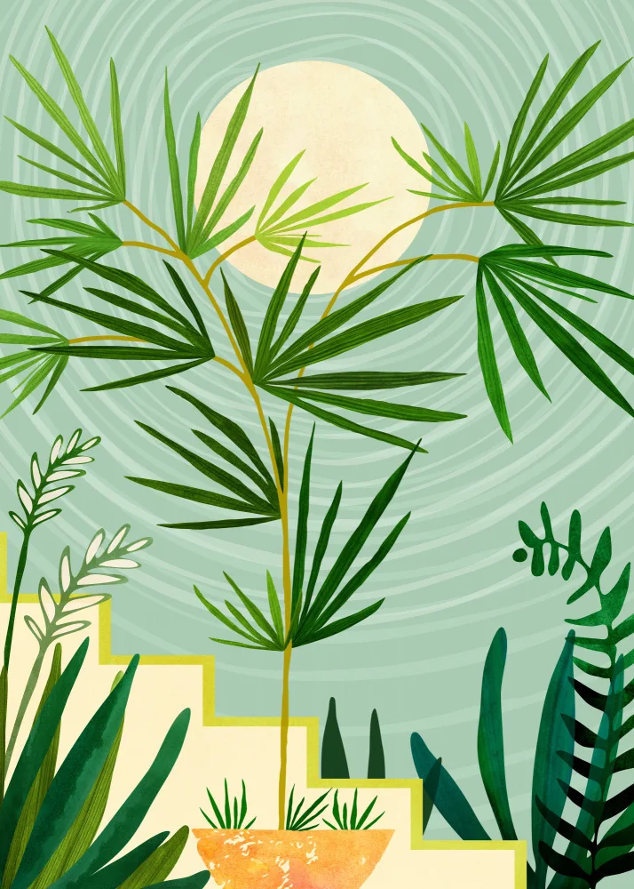 Gallagher, Kristian: Mojave Spring
