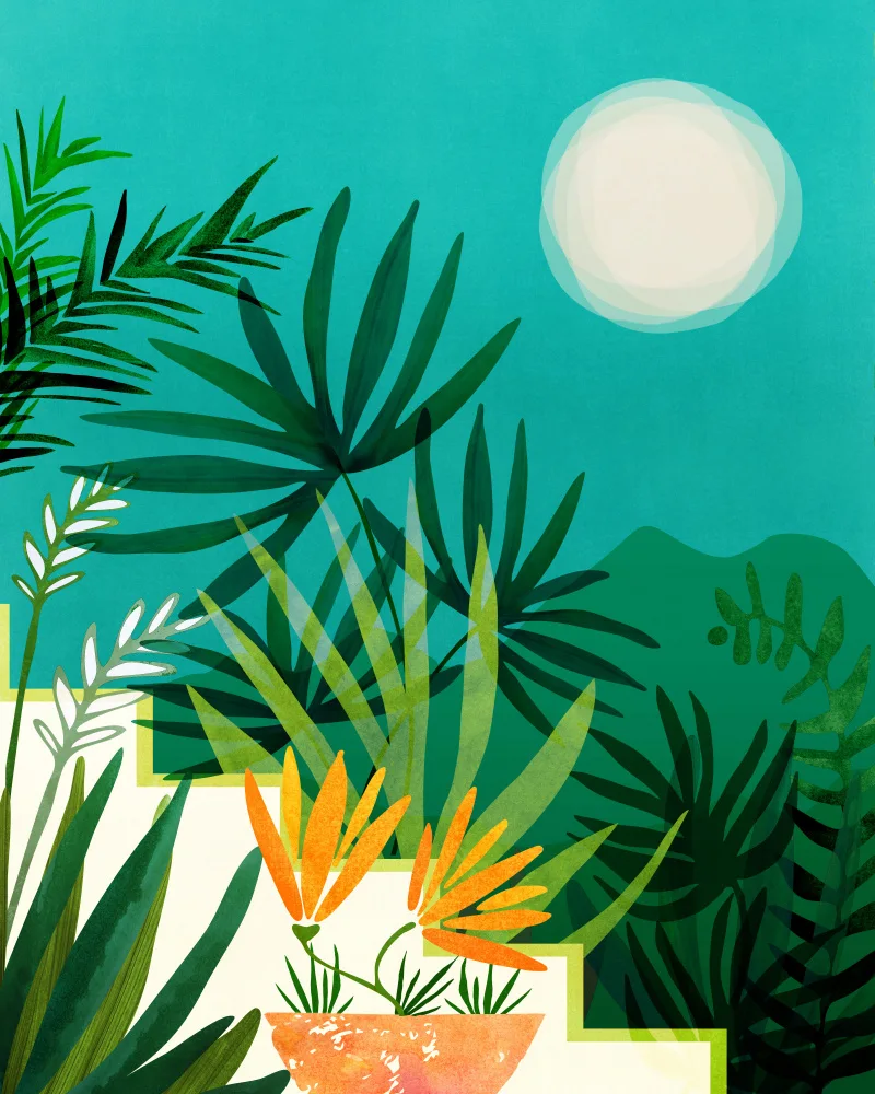 Gallagher, Kristian: Jardin tropical au clair de lune 1