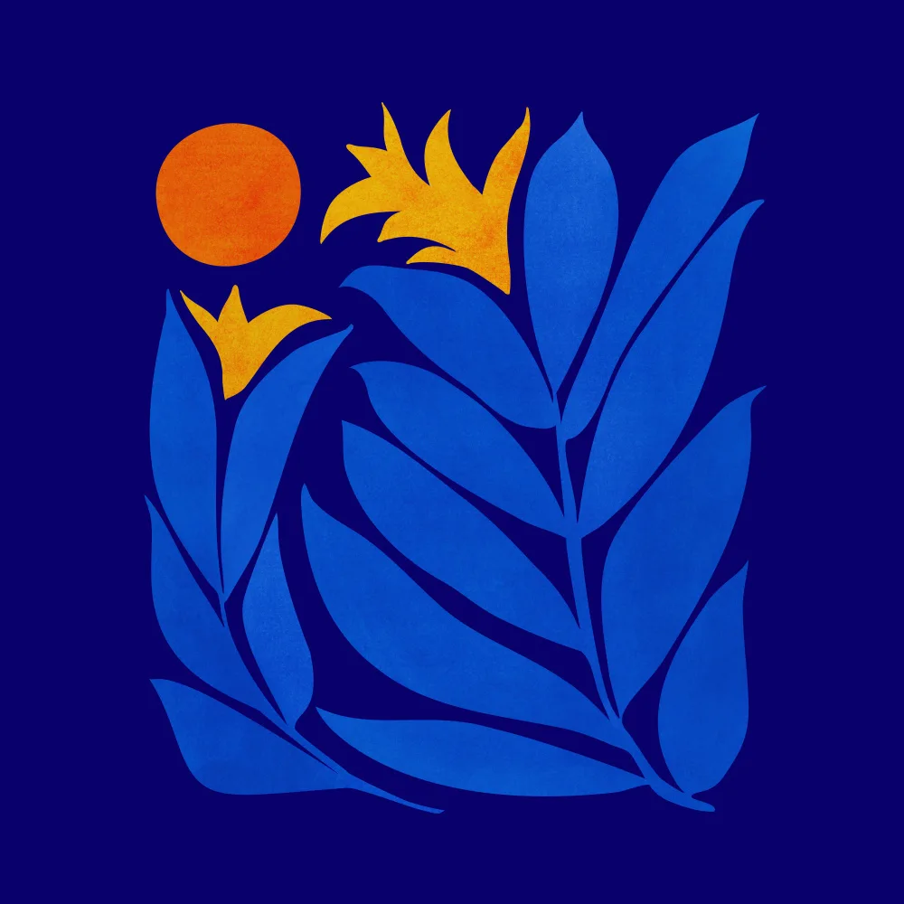 Gallagher, Kristian: Community Garden At Night