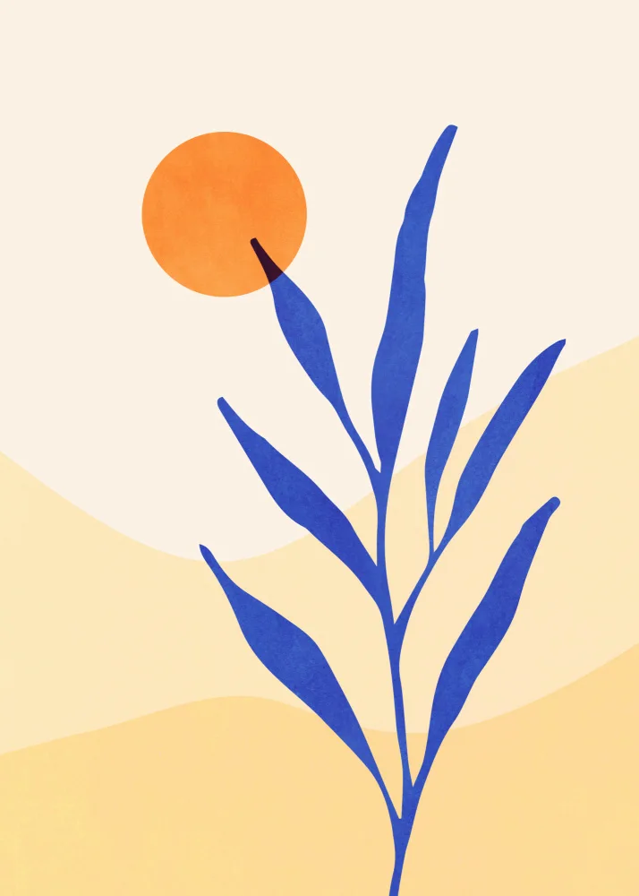 Gallagher, Kristian: Desert Flora