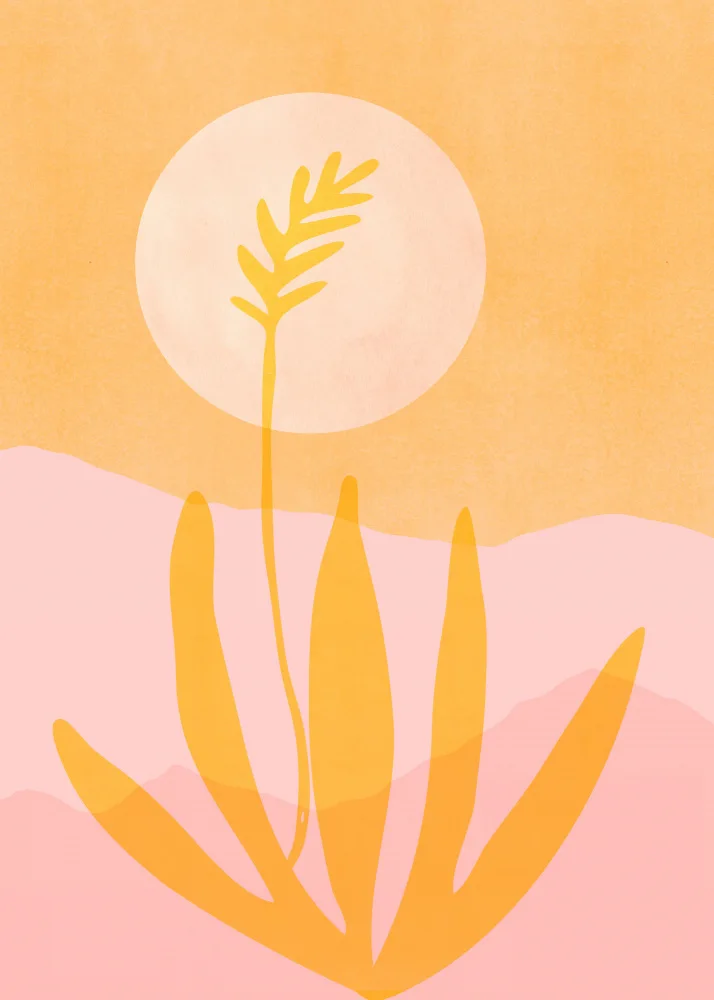Gallagher, Kristian: Coucher de soleil sur l'agave doré