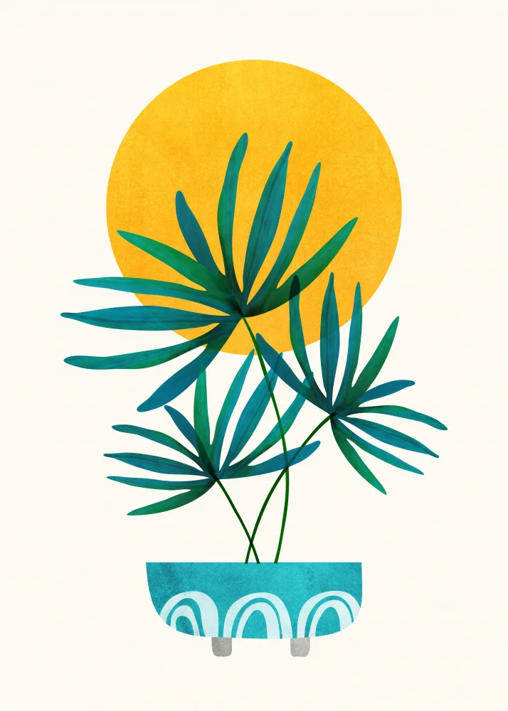 Gallagher, Kristian: Little Palm and Sunshine