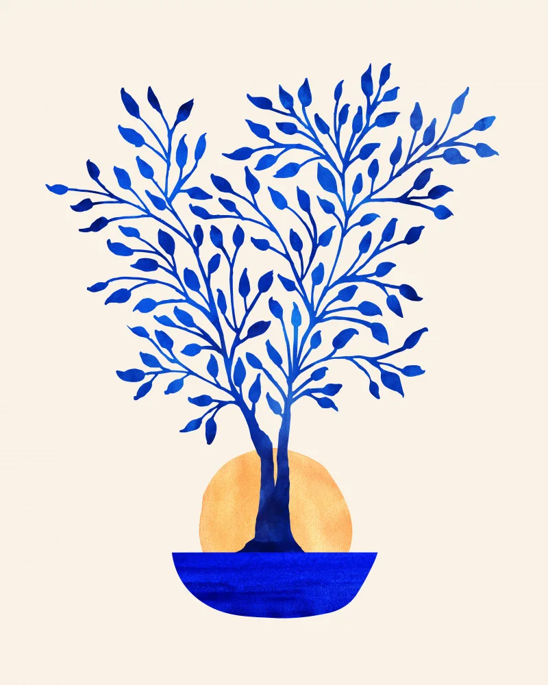 Gallagher, Kristian: Indigo Ficus Východ slunce