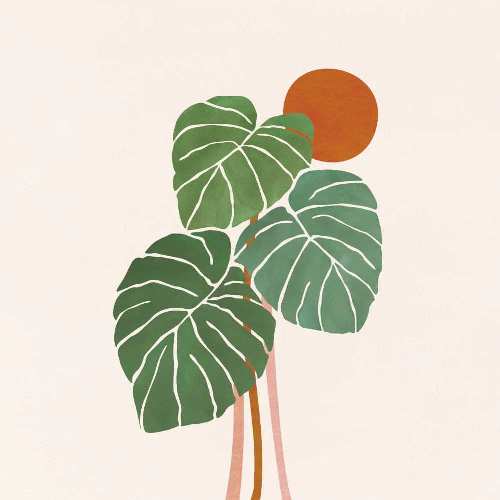 Gallagher, Kristian: Monstera et Sunshine 2 carrés