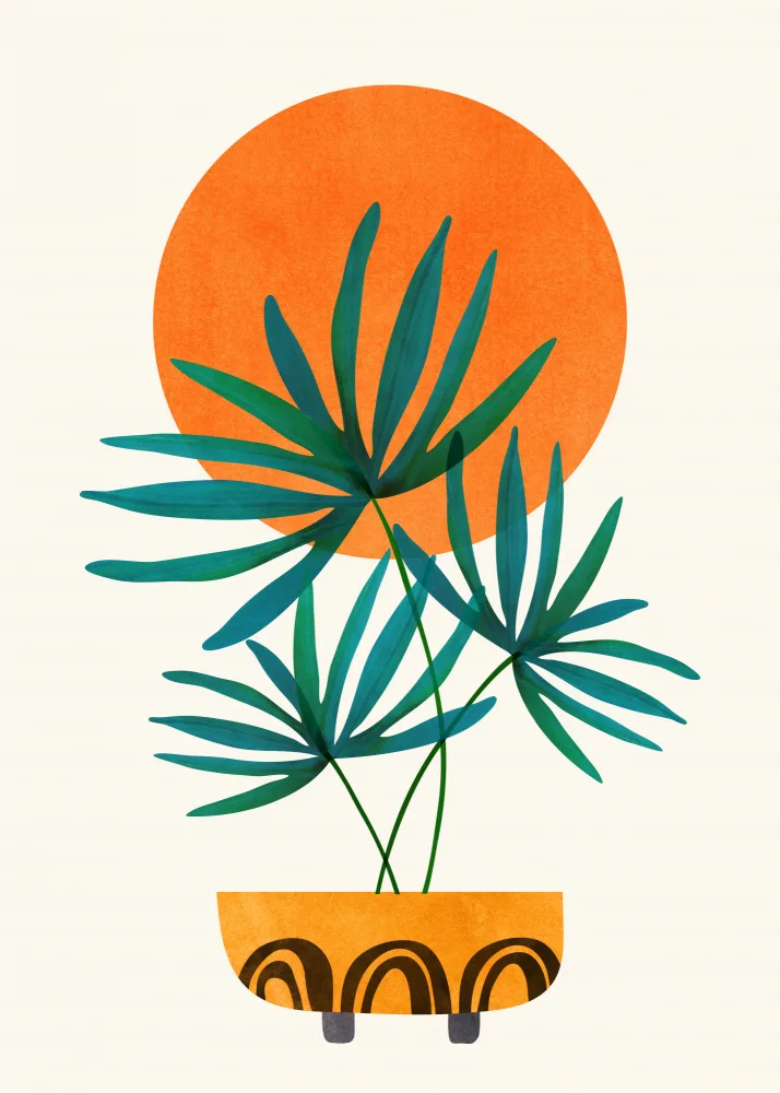 Gallagher, Kristian: Little Palm and Sunshine 2