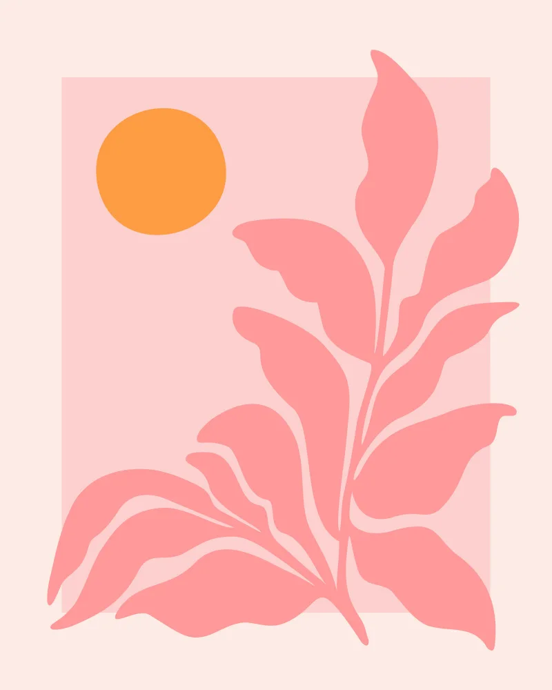 Gallagher, Kristian: Jardin rose ensoleillé