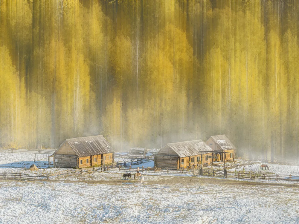 ning, Cai: 山里人家