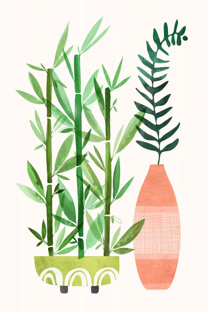 Gallagher, Kristian: Bamboo Fern 2x3