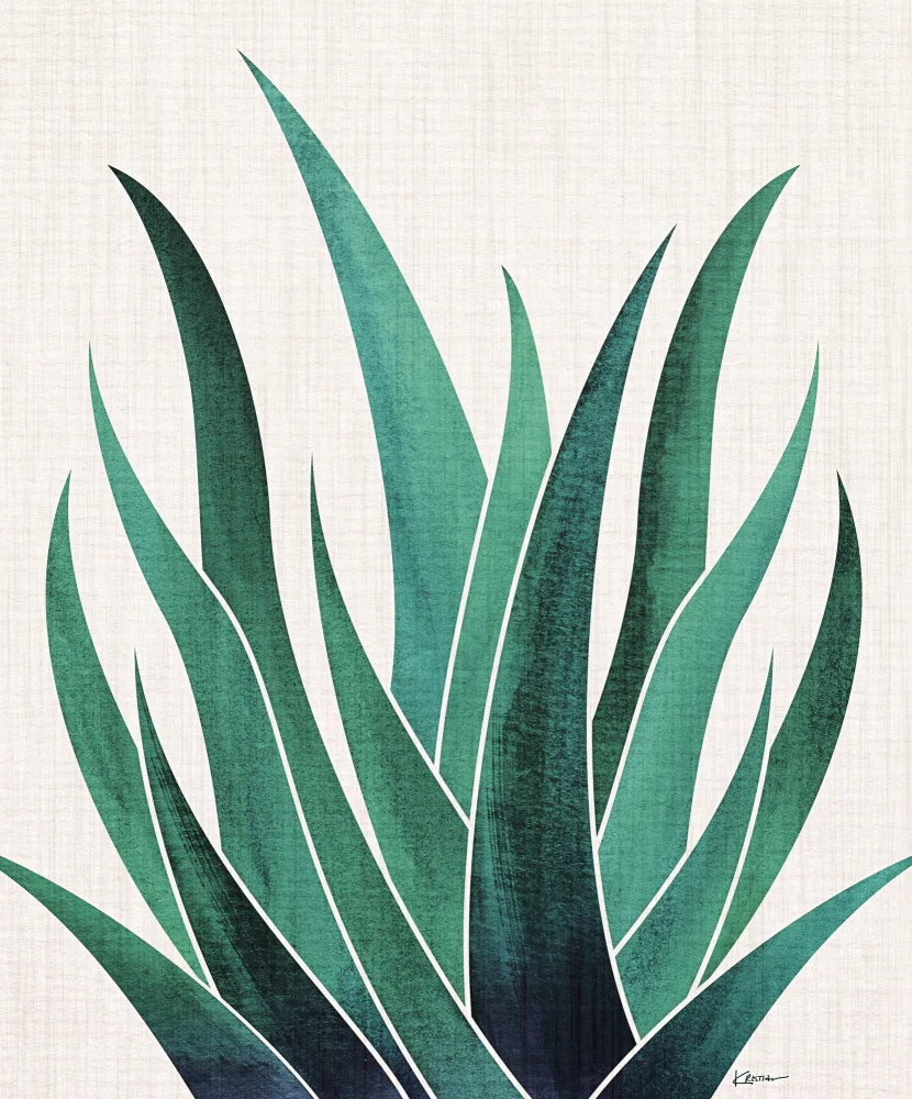 Gallagher, Kristian: Agave du désert 2