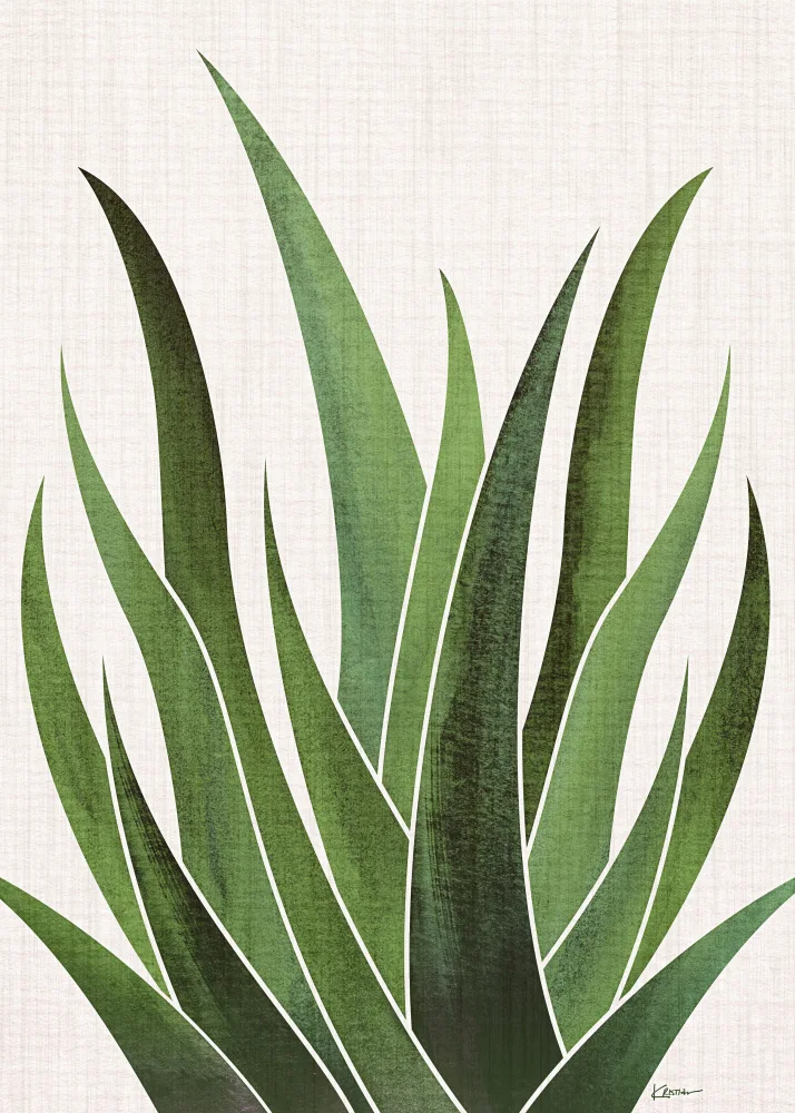 Gallagher, Kristian: Desert Agave 5