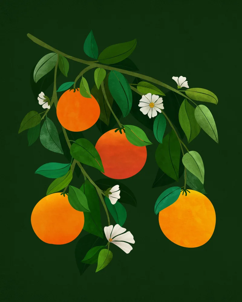 Gallagher, Kristian: Nacht der Orangen und Blüten