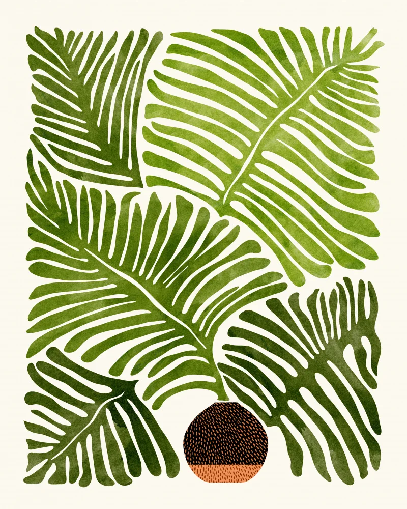 Gallagher, Kristian: Letní kapradí 4x5