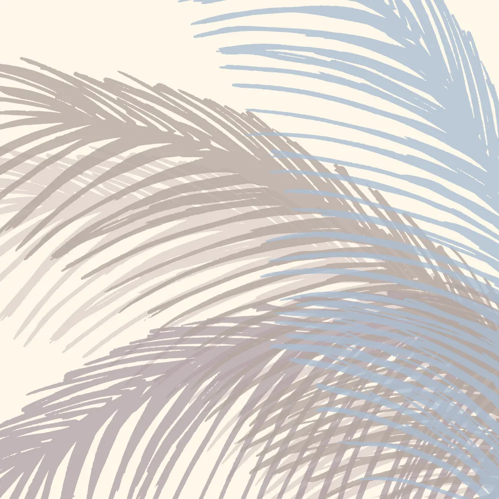 Gallagher, Kristian: Palm Silhouette 5