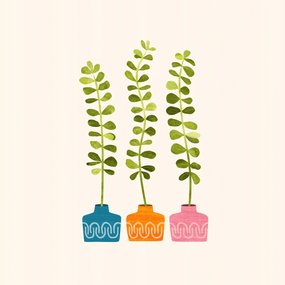 Gallagher, Kristian: Sweet Sprouts Square