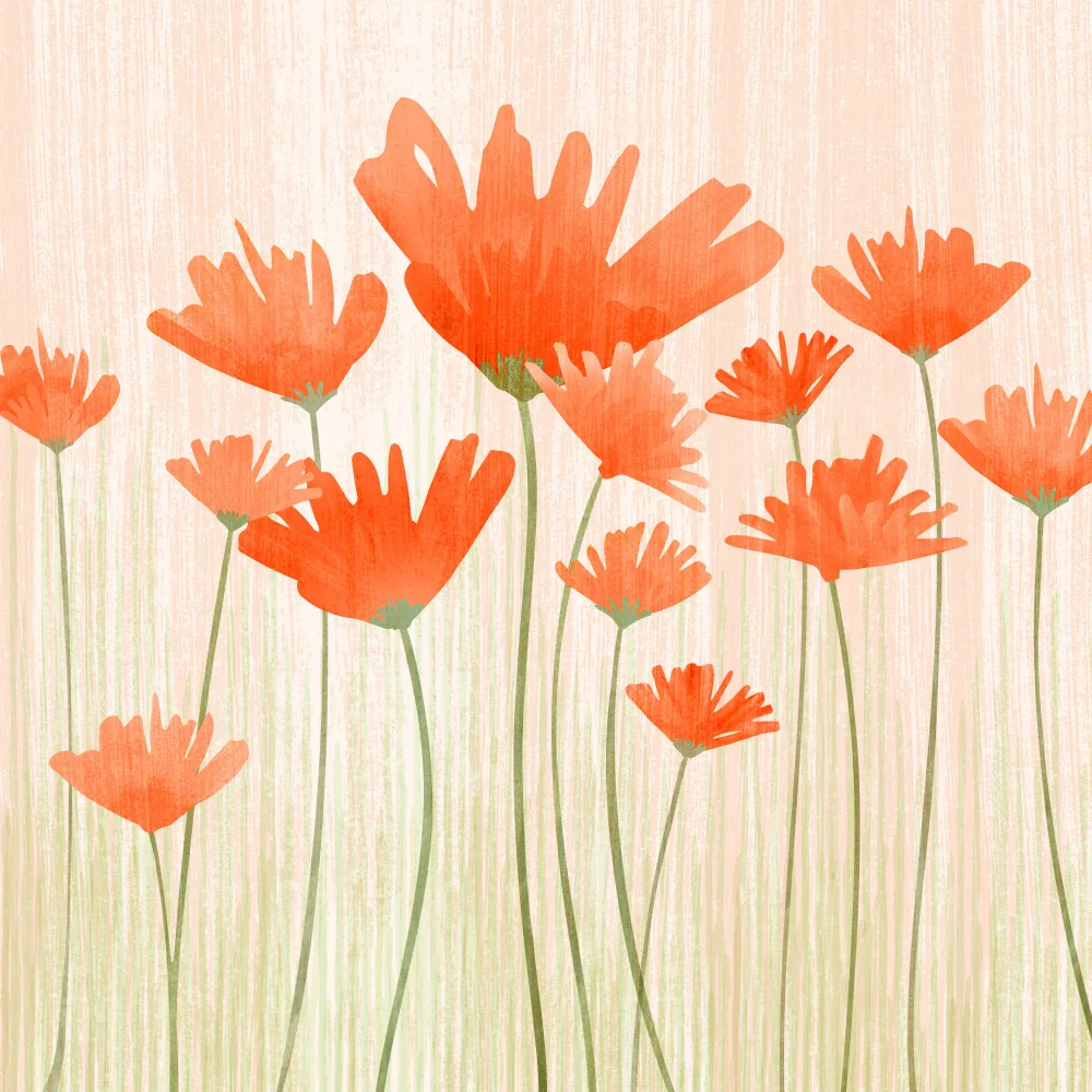 Gallagher, Kristian: Red Poppy Meadow 2