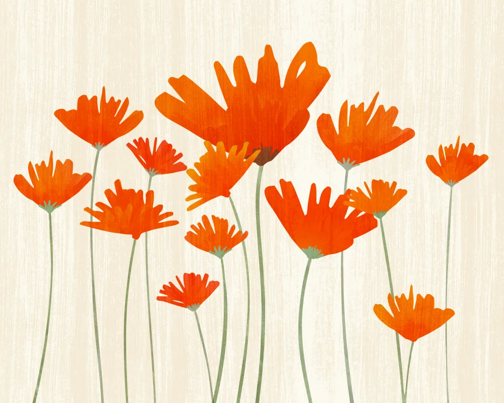 Gallagher, Kristian: Red Poppy Meadow 1