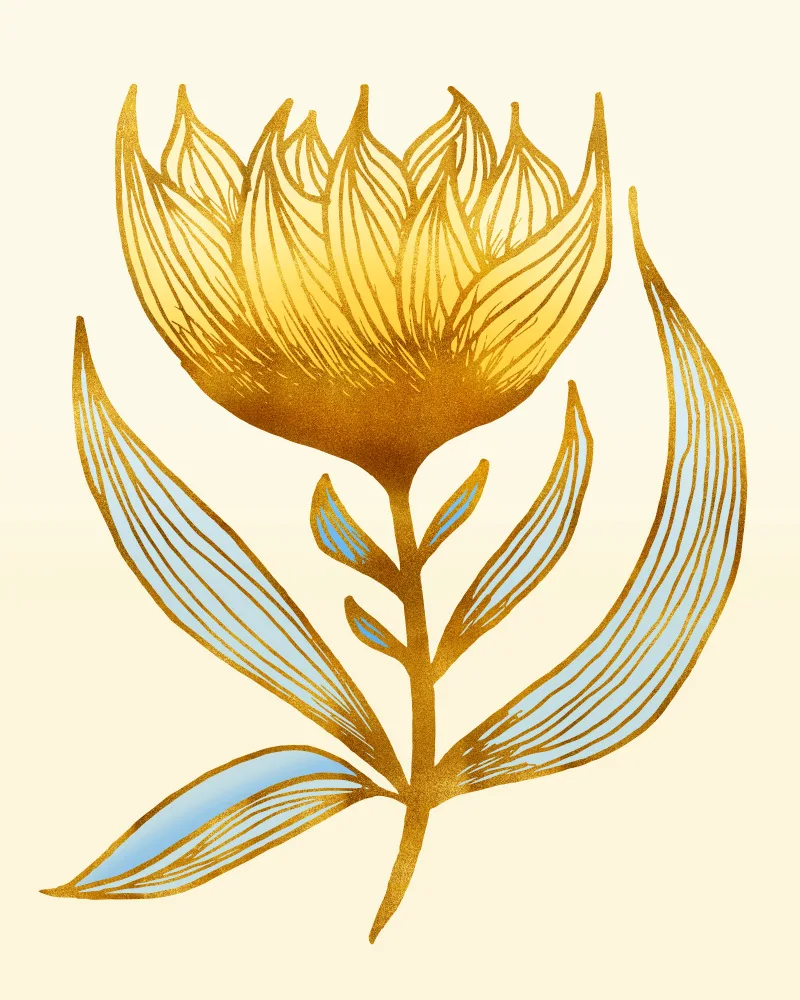 Gallagher, Kristian: Sunflower Queen 2