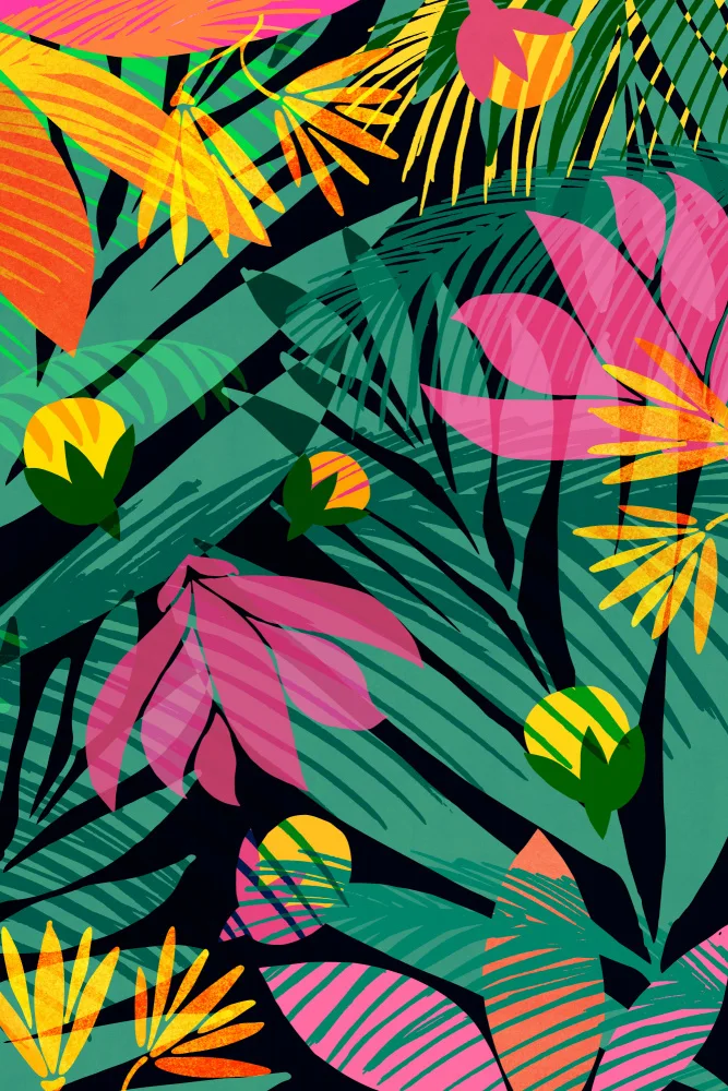 Gallagher, Kristian: Wild Tropics Tall