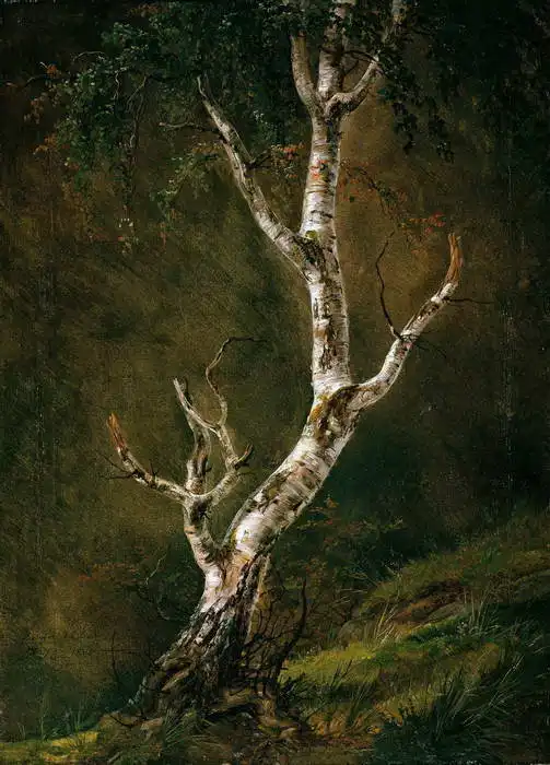 Dahl, Christian Johan: The study birch