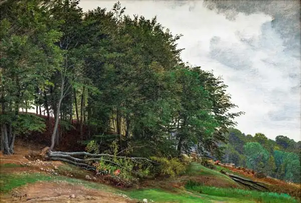 Skovgaard, Peter Christian: Forest-clad Hills